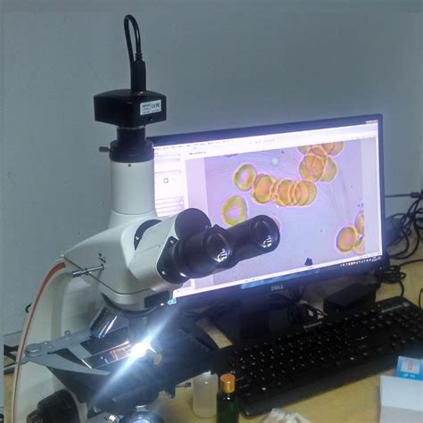 Image result for Computer Microscope