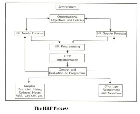 Image result for HRP Process Explained
