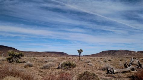 Yucca Valley Weather Radar at Cory Tack blog
