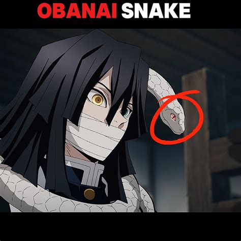 obanai snake name Kaburamaru.🐍☠️#fyp#kny#foryou#demonslayer - YouTube