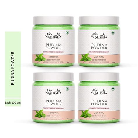 Laugha 100% Organic Pudhuna Mint Powder | Natural Pudina Powder | Mint ...
