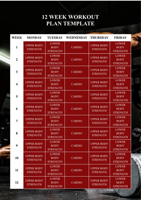 Free 12 Week Workout Plan 的图像结果