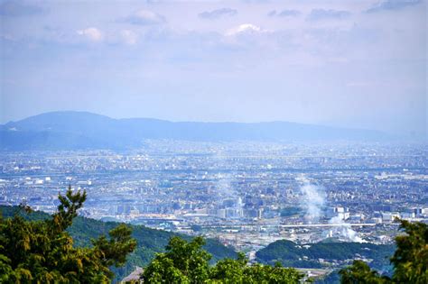 Image result for Alien Turkey Thing to Do Project