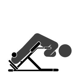 Tutorial Back Extension 的图像结果