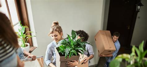 Rental Partnership Program 的图像结果