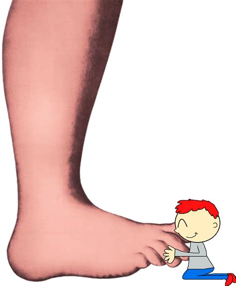 Image result for Python Foot