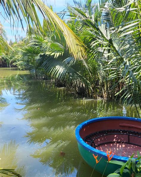 Local advice from travelers about dengue/malaria. : r/VietNam