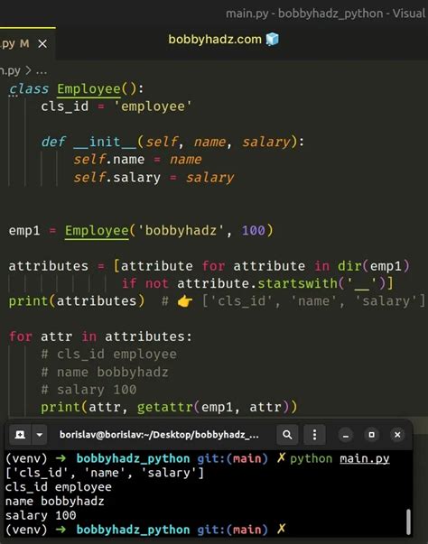Image result for Python Simple Attributes