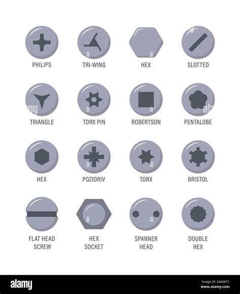 Set of metal screw heads. Stainless steel bolts. Silver nails and ...