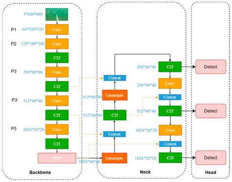 An Improved YOLOv8n Used for Fish Detection in Natural Water Environments