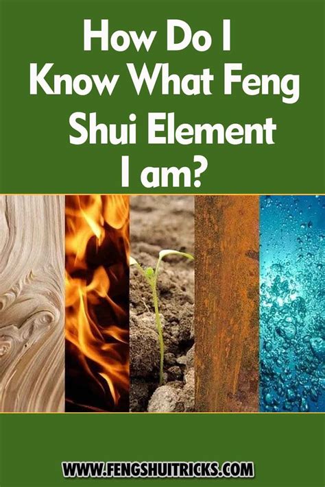 Fire Element 的图像结果