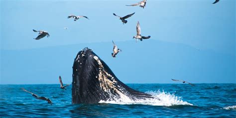 The Wire: The Wire News India, Latest News,News from India, Politics ...