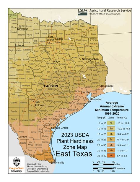 Texas Planting Zones Guide | Moon Valley Nurseries