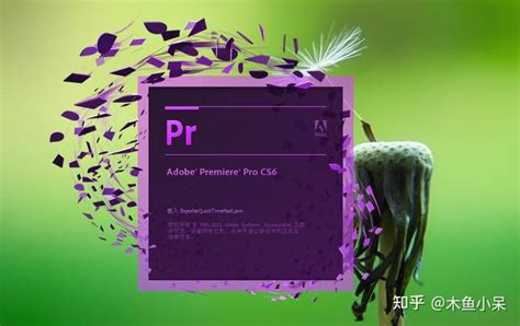 Loading Importer Quicktime.prm 的图像结果