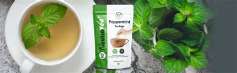 NeutraVed Peppermint Tea - 40 Tea Bags | Pure Mint Tea Bags | Caffeine ...