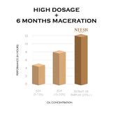 Neesh Discovery Set: Explore 14 Signature Fragrances – NEESH