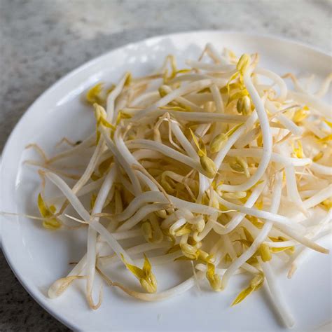 Yee Soon Leong Beansprout - Fresh, Local, Reliable Supply