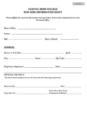 Texas New Hire Information Sheet - Blank Fillable Template | Fill Out ...