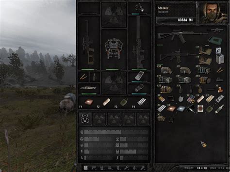 Image result for Stalker Anomaly Allignment