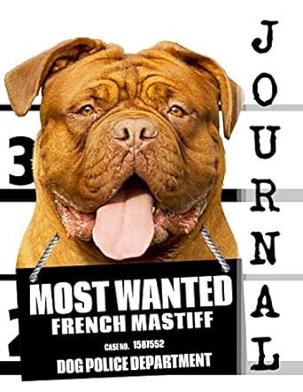 Most Wanted French Mastiff Journal: Diary / Notebook (Dog Journal ...