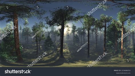 Environment Map 的图像结果