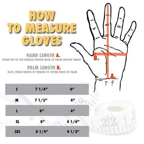 How to Measure Glove Size: Ultimate Glove Sizing Guide - Alpine Swiss