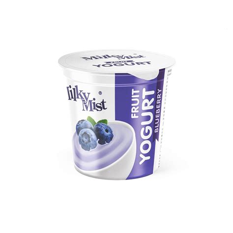 Milky Mist Stirred Fruit Yoghurt Blueberry, 100 g : Amazon.in: Grocery ...