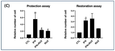 The Effect of JAK Inhibitor on the Survival, Anagen Re-Entry, and Hair ...