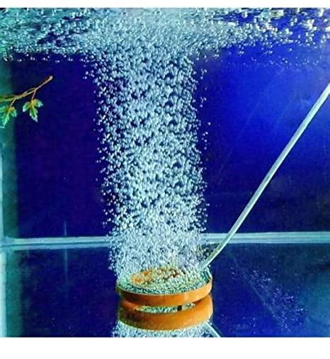 GRV Aquarium Million Bubbles Air Oxygen Ring (Size-3") Aquarium Air ...