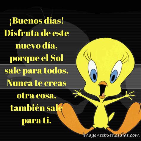 Piolin buenos dias frases » Imágenes Buenos Días