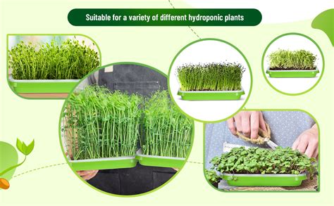 GLOWICK Reusable Seed Growing Micro Green Tray, Seedling Starter for ...