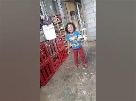 Image result for Test Fridge Compressor