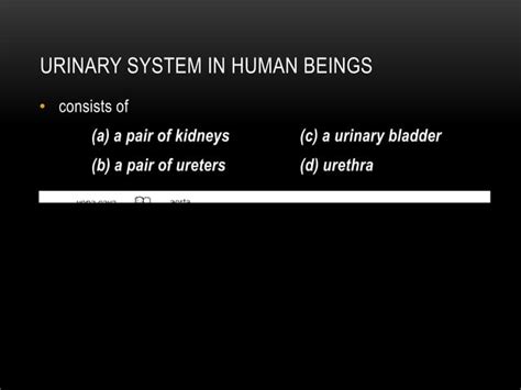 Image result for Chapter 12 Excretion
