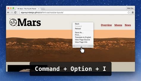 Image result for Developer View Browser