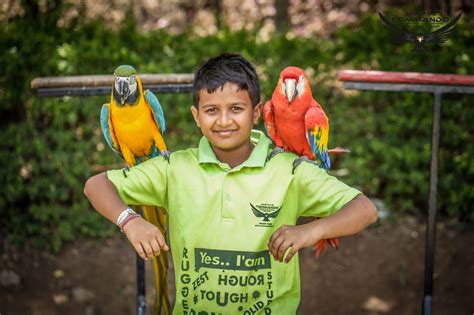 Commando Kids Training Camp