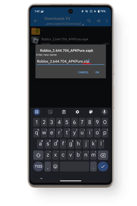 Image result for Install XAPK Files