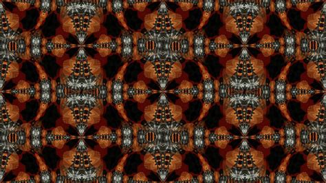 Image result for Make a Kaleidoscope Explain How Reflection Is Create Pattern in Java
