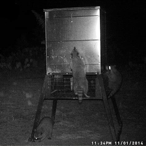 600-lb. Stand and Fill Deer Feeder | All Seasons Feeders