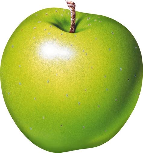 Green apple transparent PNG transparent image download, size: 1539x1655px