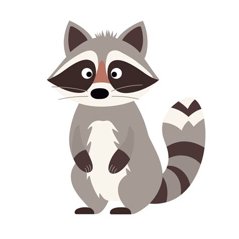 Raccoon Vector Cute Raccoon Cartoon Symbol 27790998 Vector Art at Vecteezy
