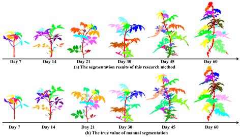 A Method for Tomato Plant Stem and Leaf Segmentation and Phenotypic ...