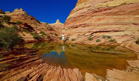 South Coyote Buttes Tour - Dreamland Safari Tours