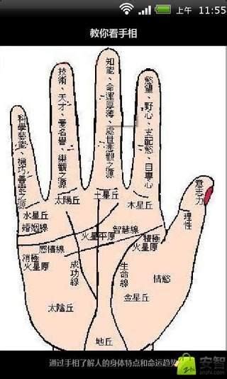 手指指纹算命图解的知识 手指指纹算命图解-周易算命网