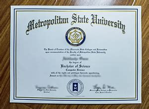 Metro State Online Programs 的图像结果