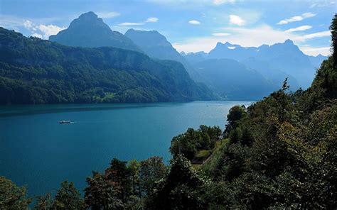 Nature River 的图像结果