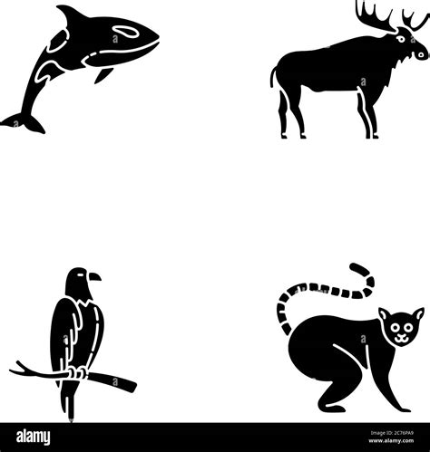Different animal species black glyph icons set on white space. Killer ...