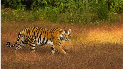 Pre fixed heritage tours, cultural tours and weekend tours to beautiful ...