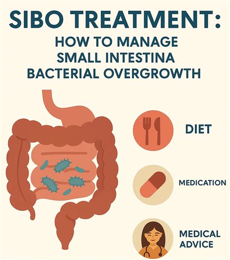 SIBO Treatment: How to Manage Small Intestinal Bacterial Overgrowth | Bangalore Gastro Centre