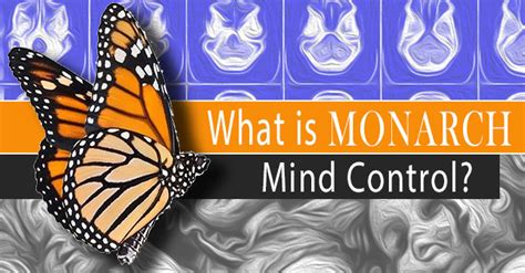 Monarch Mind Programming 的图像结果