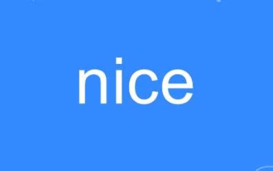 nice是什么中文意思（很nice的意思是什么） | 苟探长